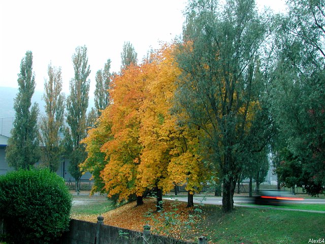 Besanon, les Couleurs Automnales-004.bmp