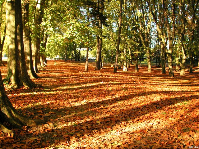 Besanon, les Couleurs Automnales-021.bmp