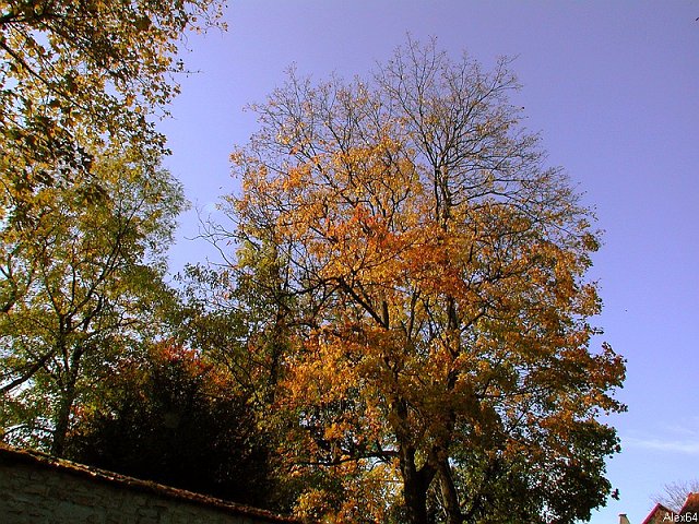 Besanon, les Couleurs Automnales-032.bmp