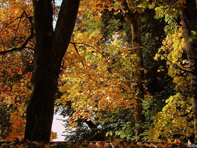 Besanon, les Couleurs Automnales-037.bmp