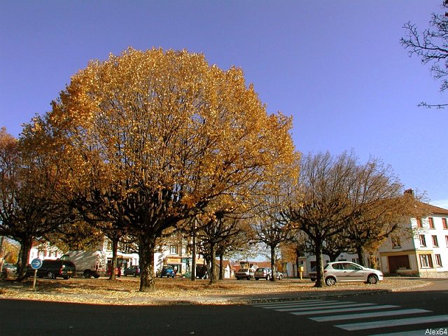 Besanon, les Couleurs Automnales-043.bmp