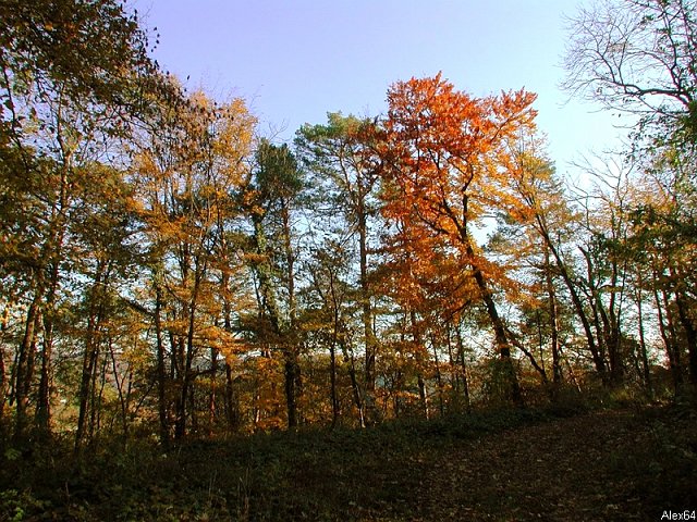 Besanon, les Couleurs Automnales-085.bmp