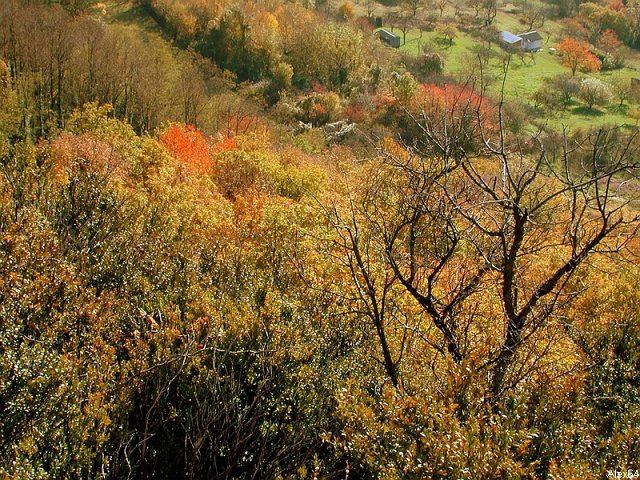 Besanon, les Couleurs Automnales-129.bmp