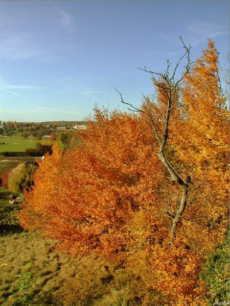 Besanon, les Couleurs Automnales-164.bmp