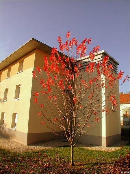 Besanon, les Couleurs Automnales-177.bmp