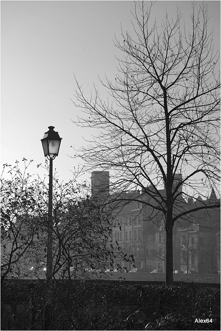 Alex64-Noir-Blanc-Gris-Besac-Besancon-Doubs-Franche-Comte-116.png