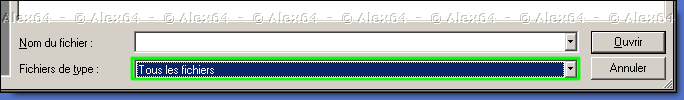  Le fichier ''XPI''  n'apparait pas ? Dans ''Fichiers de type'' slectionnez ''Tous les fichiers'' 