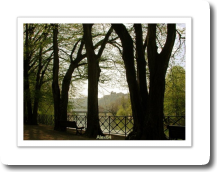 Micaud