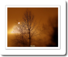 Brume de sang