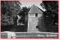 Bastion des marais