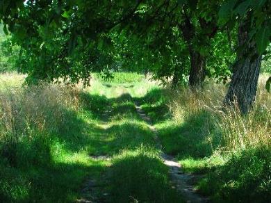 la nature qui n'a pas besoin de nous