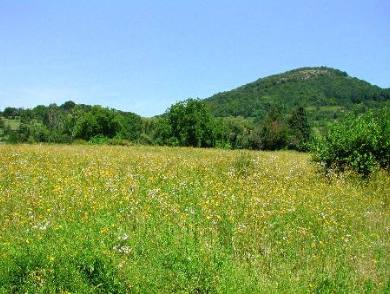 la nature qui n'a pas besoin de nous