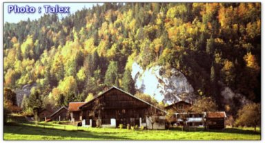 Ferme du haut-doubs qui sent bon la saucisse de Morteau